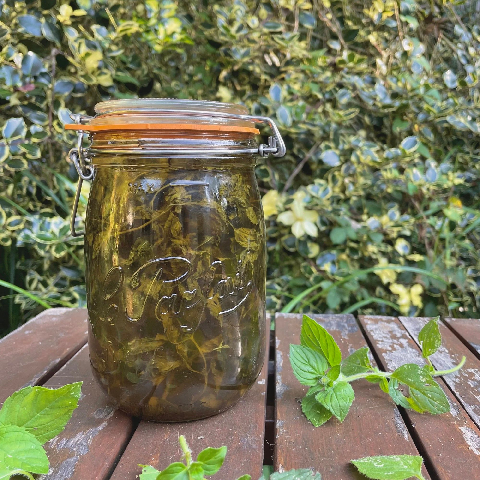 Un bocal Le Parfait de légumes verts lacto-fermentés, posé sur une table du jardin.