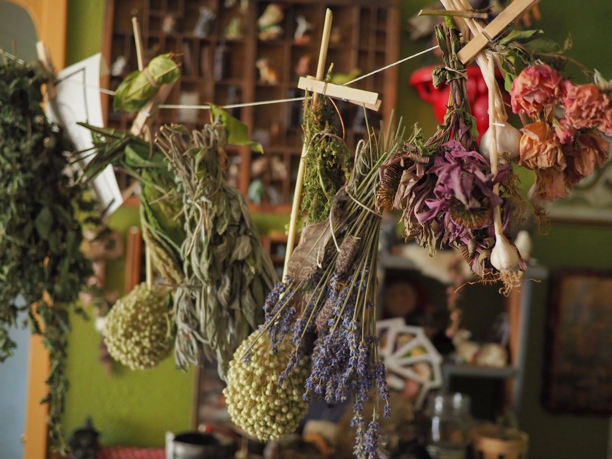 Des bouquets de lavande, de sauge et de fleurs suspendus tête en bas pour sécher.
