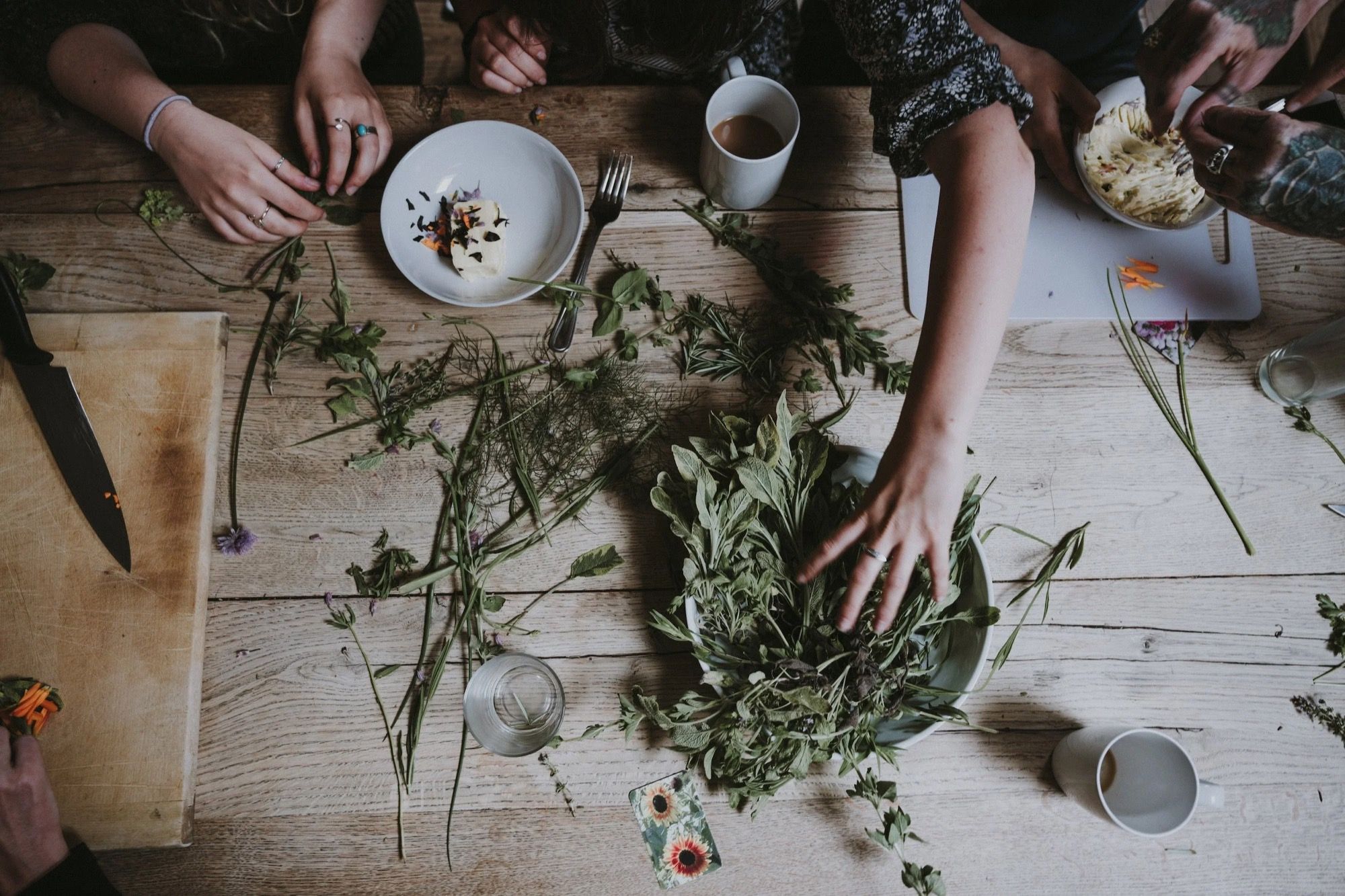 Des tiges et des feuilles de plantes médicinales étalées sur une table en bois, autour de plusieurs paires de mains.